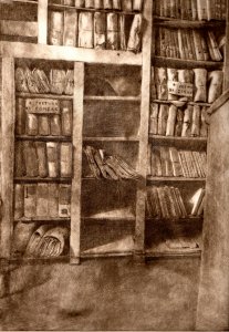 piano terra scaffali